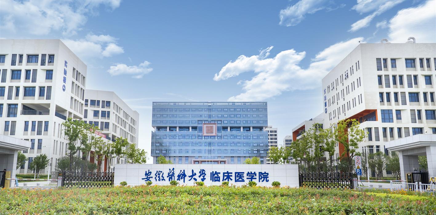 安徽医科大学临床医学院在第十二届全国大学生统计建模大赛中斩获省级二等奖7项
