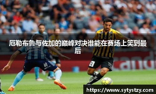 易游体育